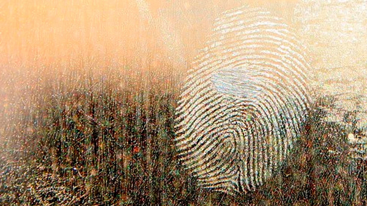 Gracias a huellas dactilares de INE se logra identificar 700 cadáveres