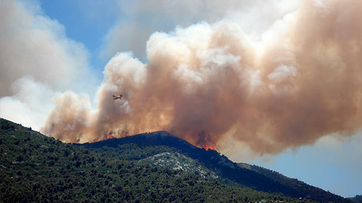 Ayuntamiento podría denunciar incendios forestales presuntamente provocados en Morelia