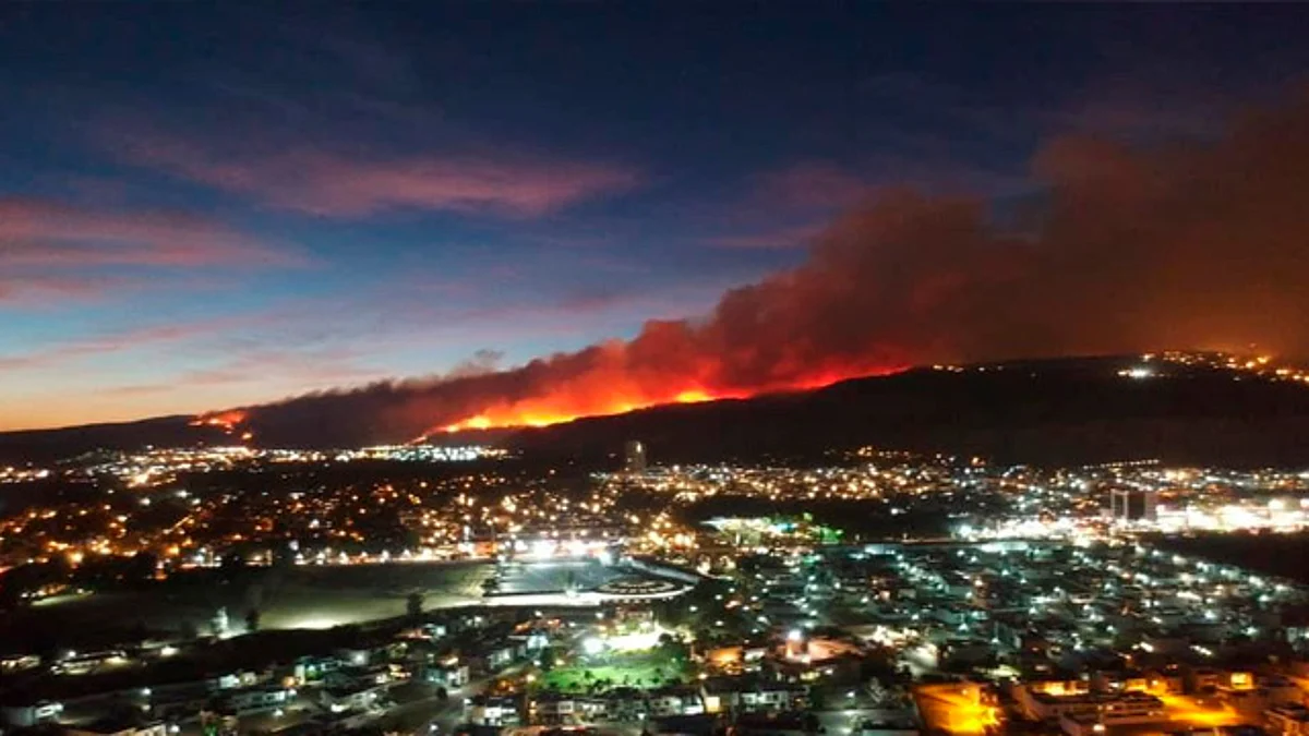 Mantienen bajo control incendio en Bosque La Primavera de Guadalajara