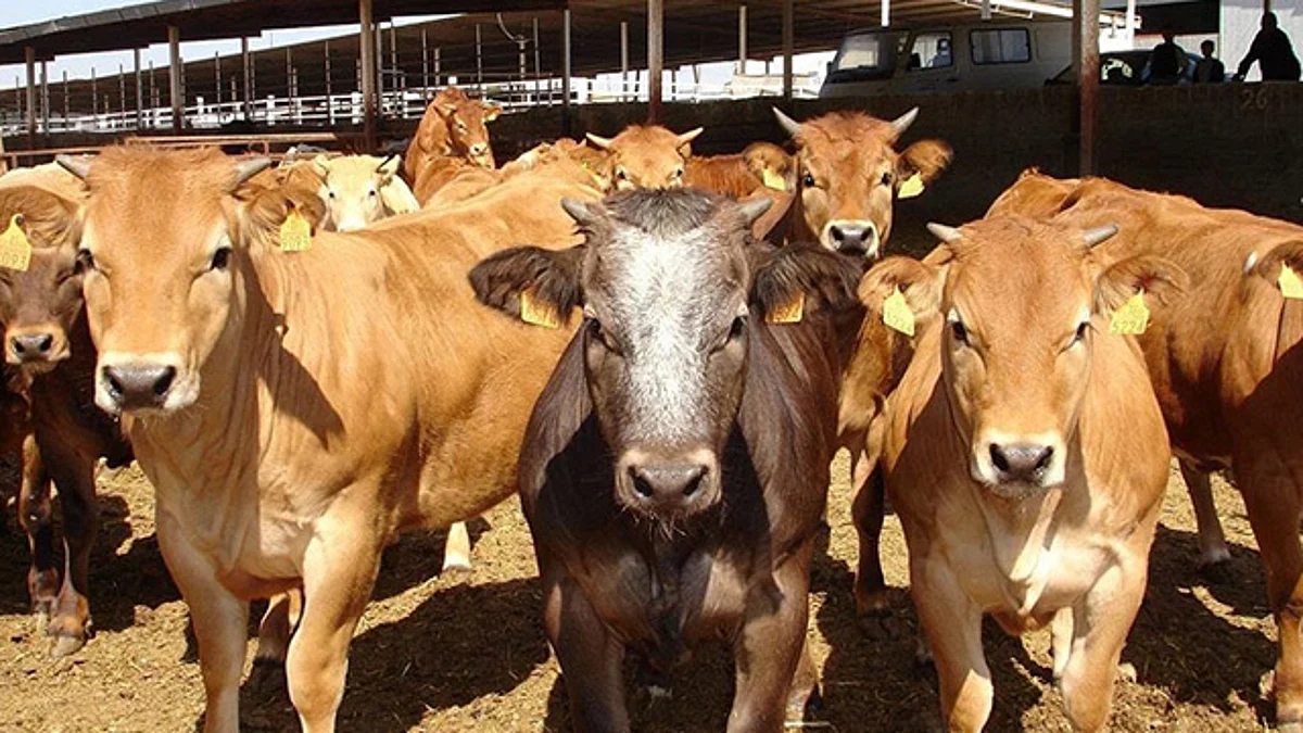 Apoya Sedrua a sanidad animal con más de 12 millones de pesos
