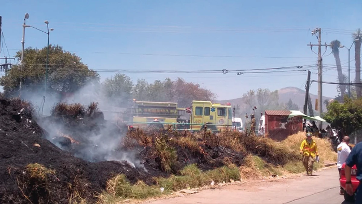 PC Municipal atendió cuatro incendios forestales este sábado