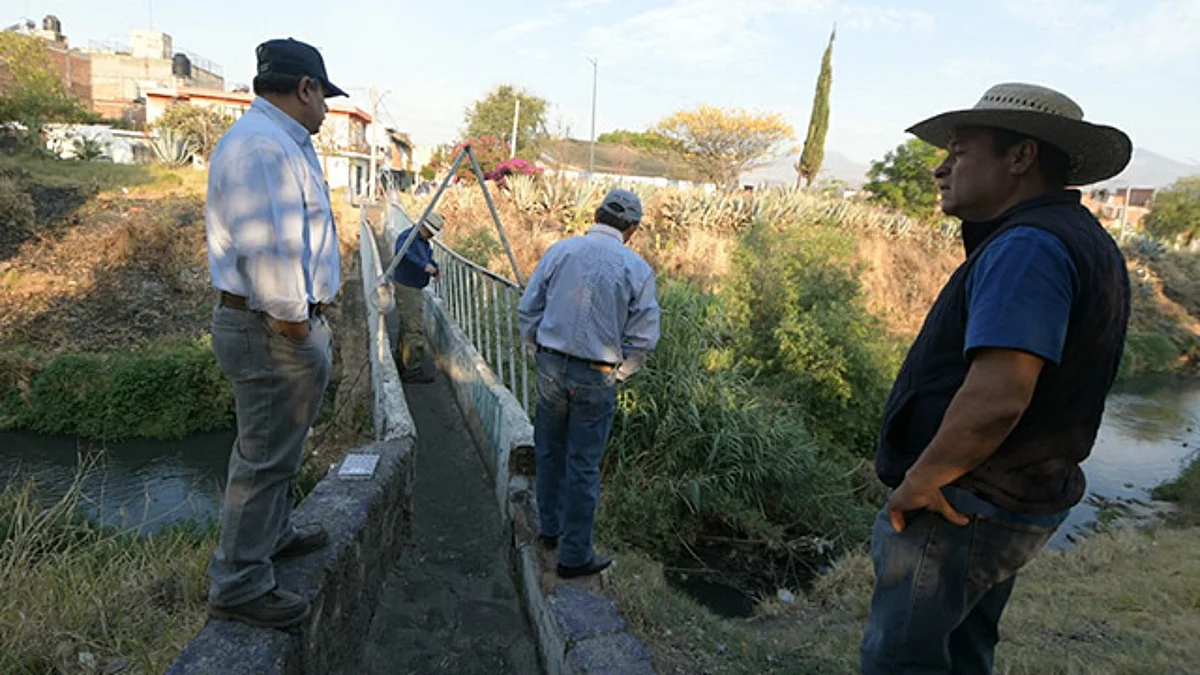 La acción inmediata se realizará en este mes con la sustracción de árboles secos (Foto Cortesía)