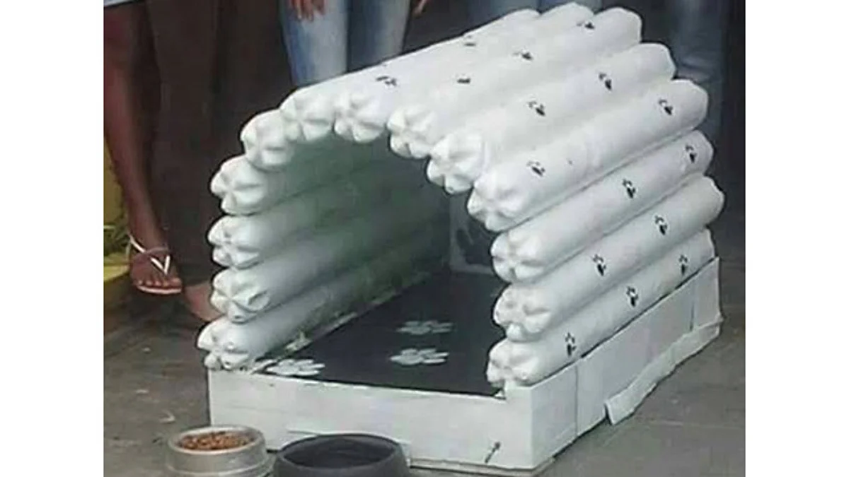 Morelianos recolectarán botellas para hacer casas a perritos de la calle