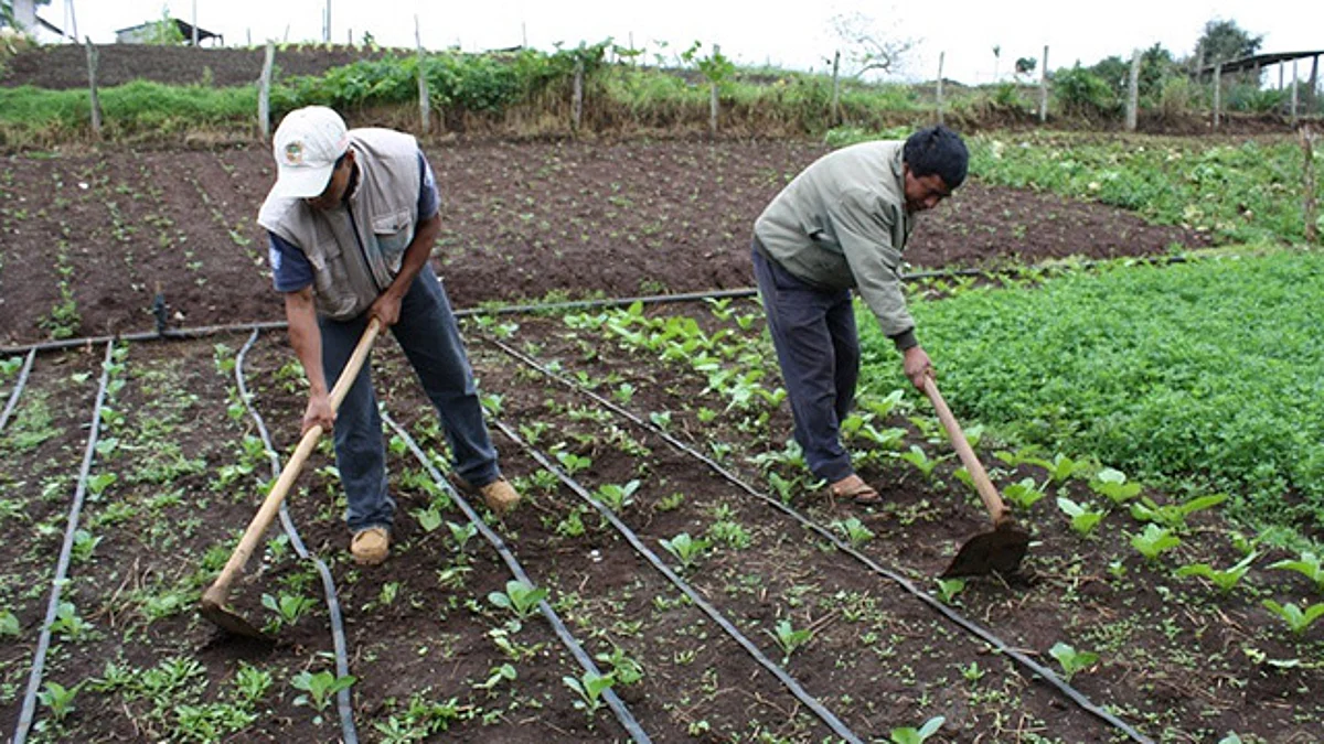 Michoacán garantiza seguridad alimentaria en 300 comunidades rurales