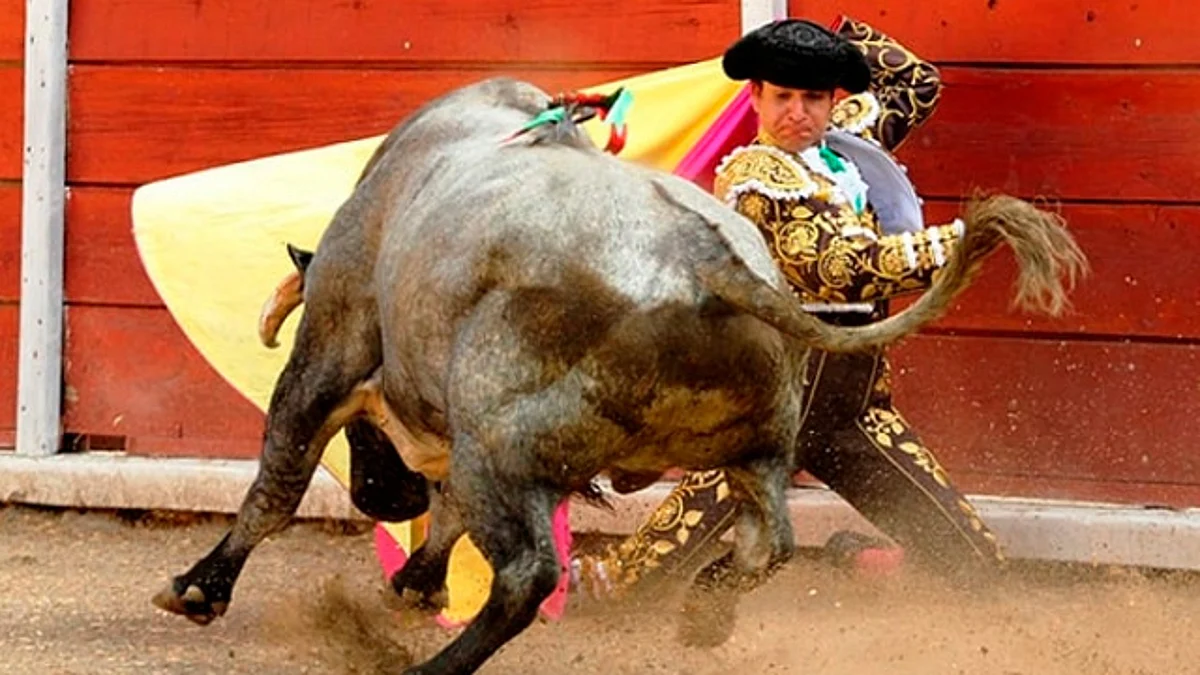 Reactivarían corridas de toros en Guanajuato durante el Festival Cervantino