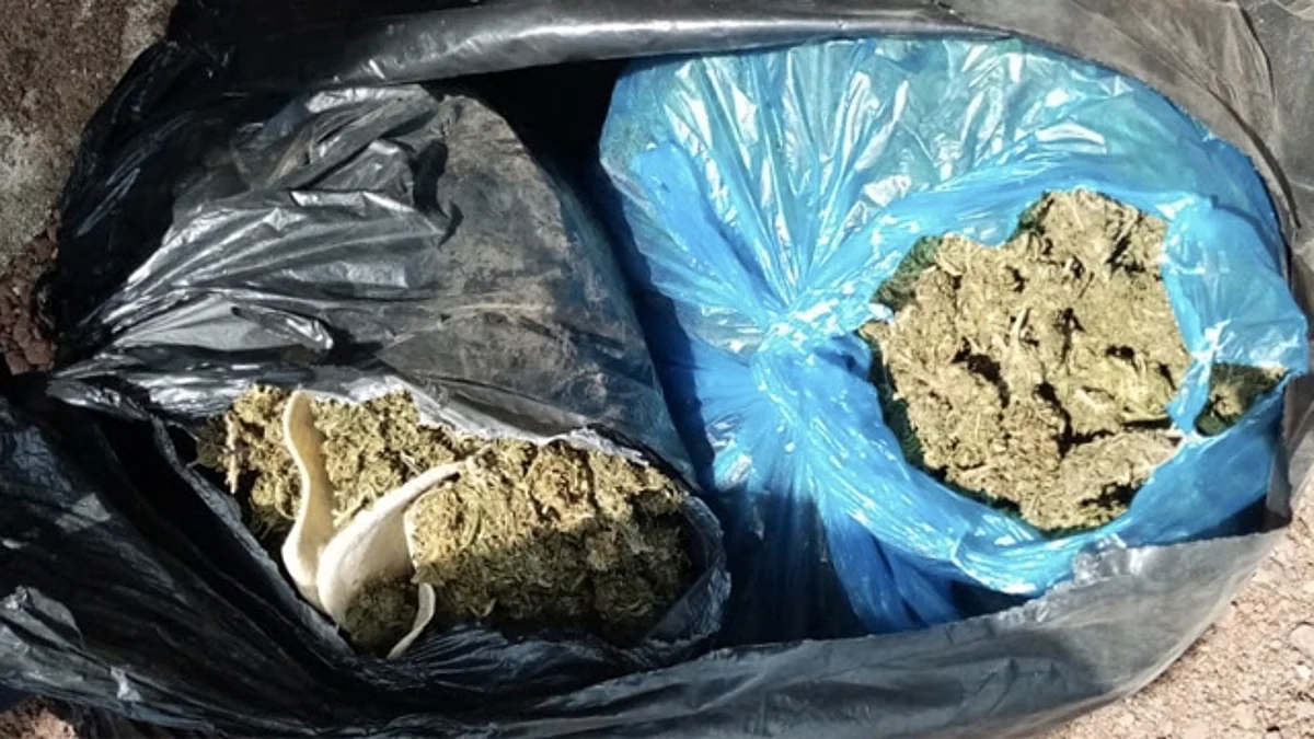 Aseguran vehículo con reporte de robo y más de 3 kilos de marihuana