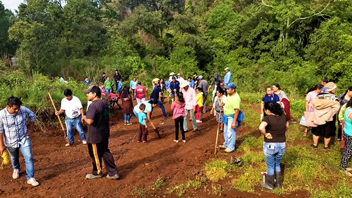 Inician campaña de reforestación de áreas verdes colonos antorchistas de Ario