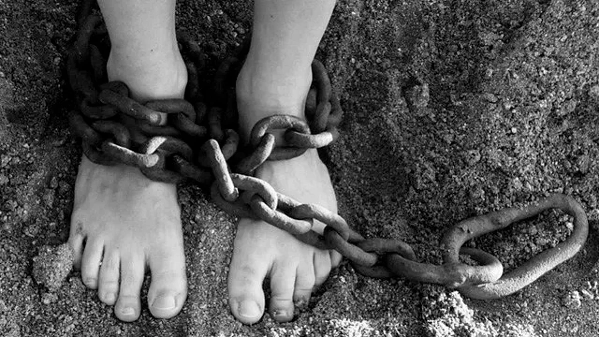 Presentan signos de violencia sexual (Foto: Pixabay)