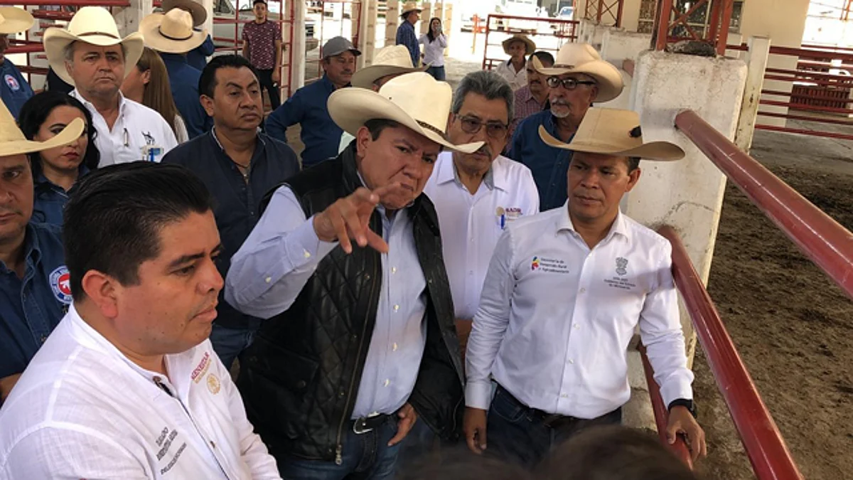 Crédito Ganadero a la Palabra impulsa bienestar de Michoacán: David Monreal