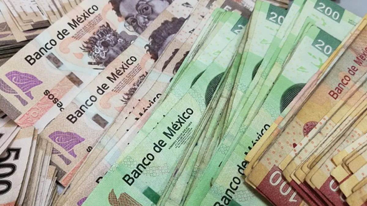 Salario mínimo aumentará a 123.22 pesos diarios en 2020: Conasami