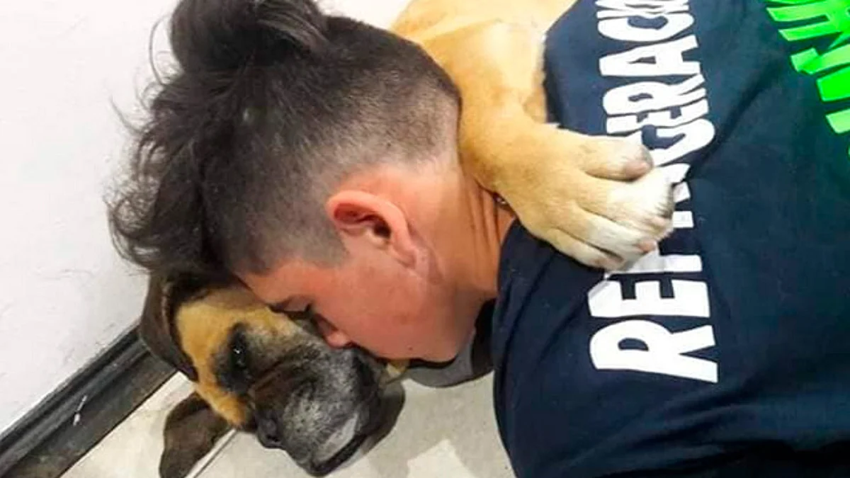 Muere perrita de avanzada edad por estallido de pirotecnia