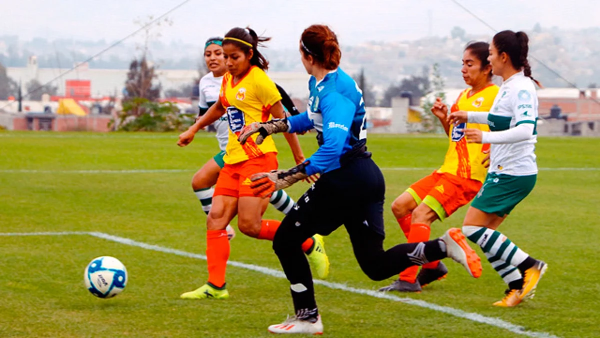 Al interior del plantel sueñan con que en el 2020 puedan calificar a su primera liguilla
(Foto:@MonarcasFemenil)
