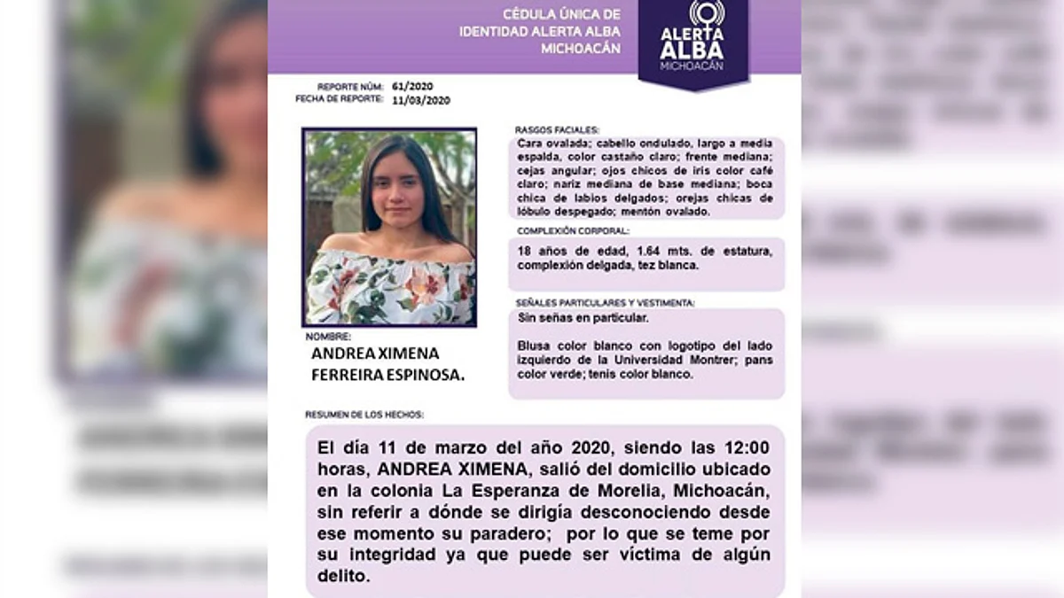 Ximena escribió el 8M: Si mañana no vuelvo, destrúyelo todo; hoy está desaparecida