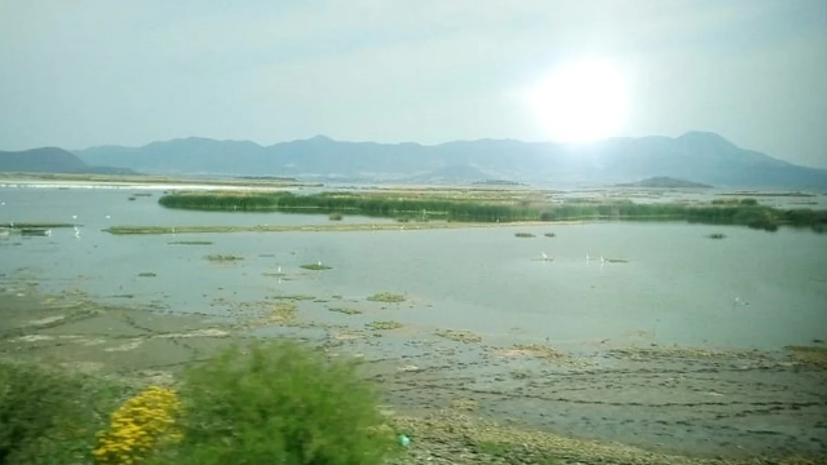 Aprueba 75 Legislatura Punto de Acuerdo a favor de restauración y manejo del Lago de Cuitzeo