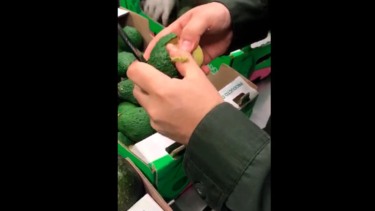 Decomisan aguacates que ocultaban cocaína, en Colombia