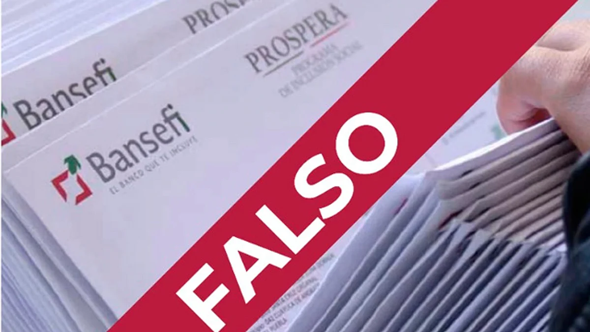 Hacienda denuncia información falsa sobre registro para apoyos del Gobierno de México