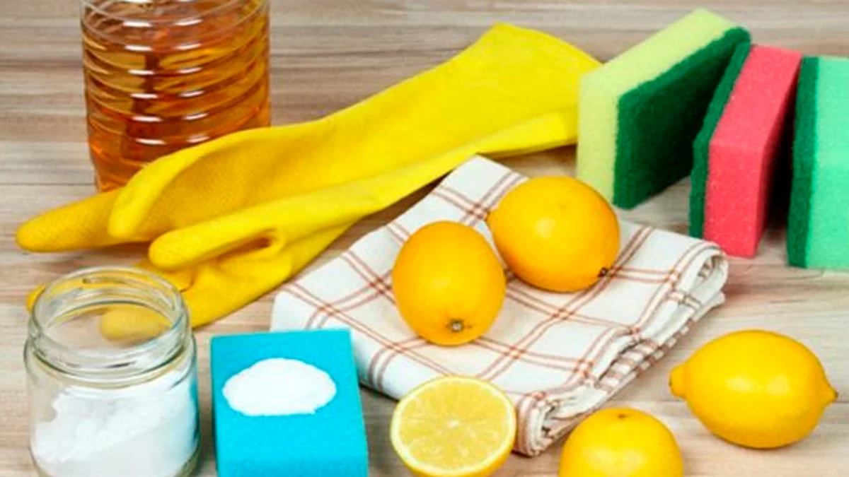 Emiten receta para facilitar tareas de limpieza y desinfección del hogar