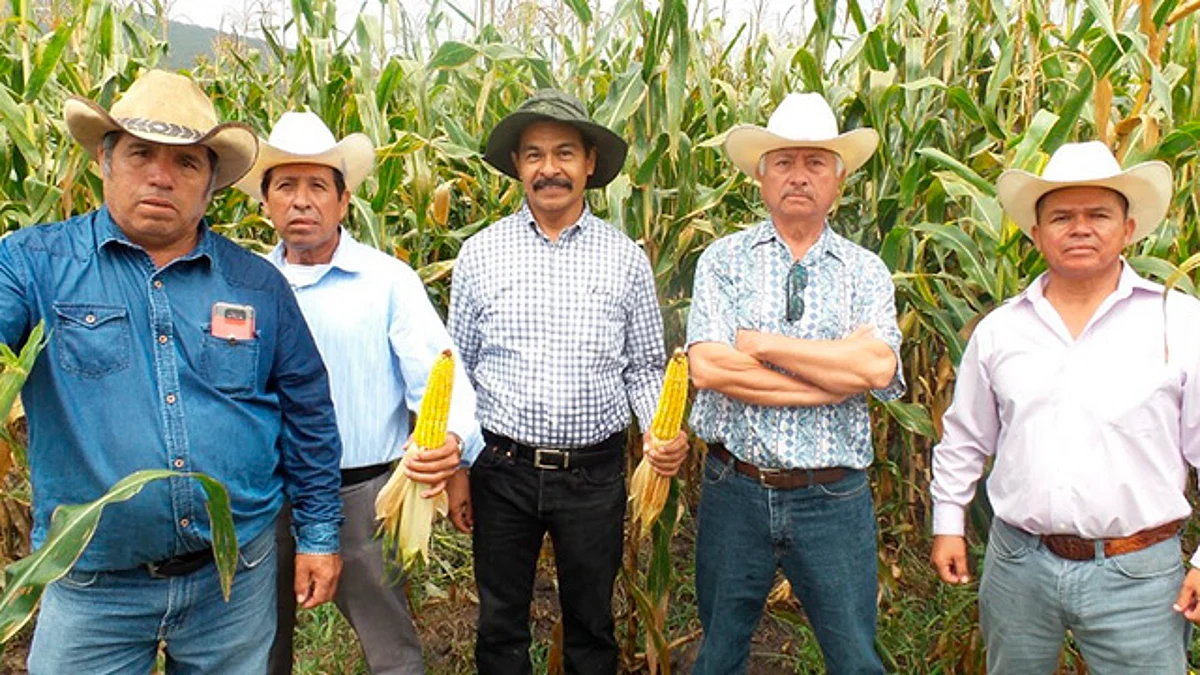Michoacán promueve agricultura sustentable, legado de Zapata: Sedrua