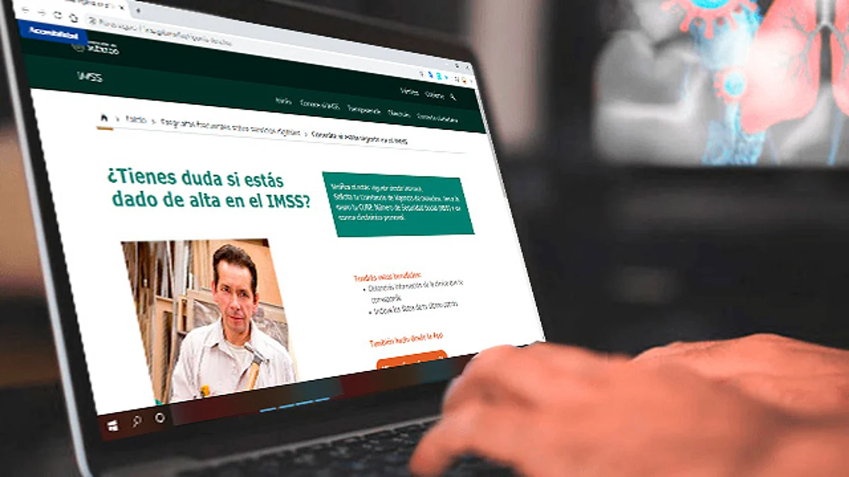 IMSS pone a disposición en línea la consulta de Vigencia de Derechos