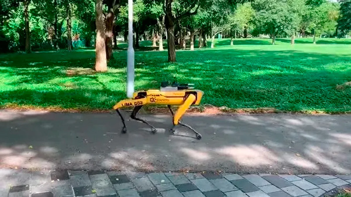 Vigilan distanciamiento con perros robots en Singapur