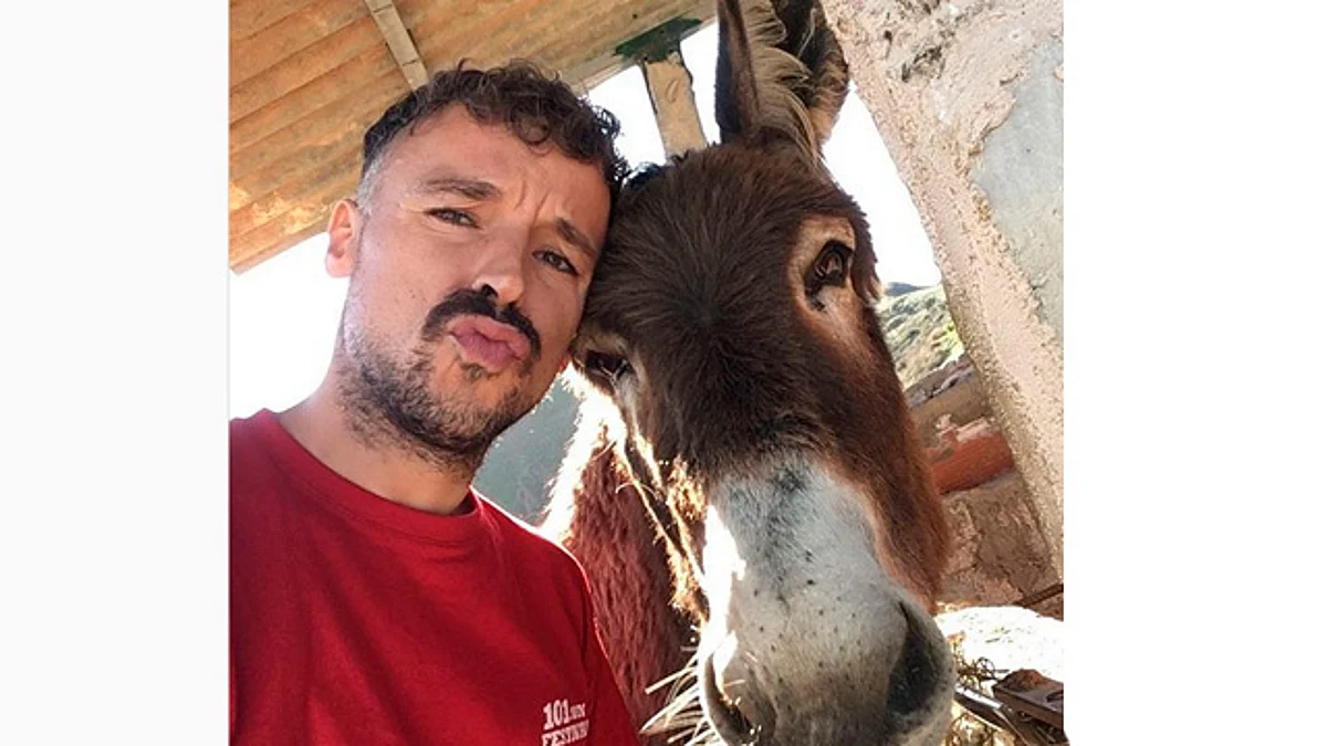 Conmueve reencuentro entre burrita y su dueño luego de la cuarentena en España