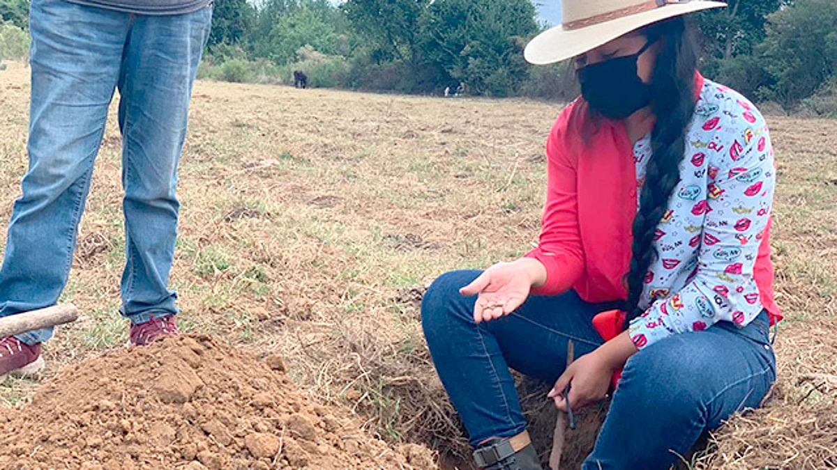 Michoacán multiplica producción de insumos orgánicos