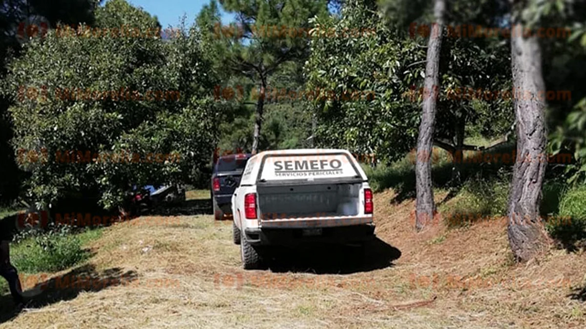 Asesinan a dos jornaleros en huerta de aguacate en Michoacán