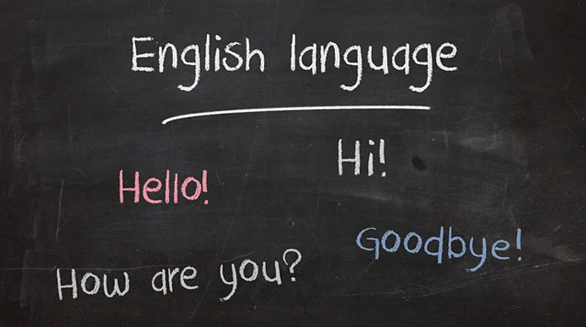 Busca la UMSNH profesores de inglés