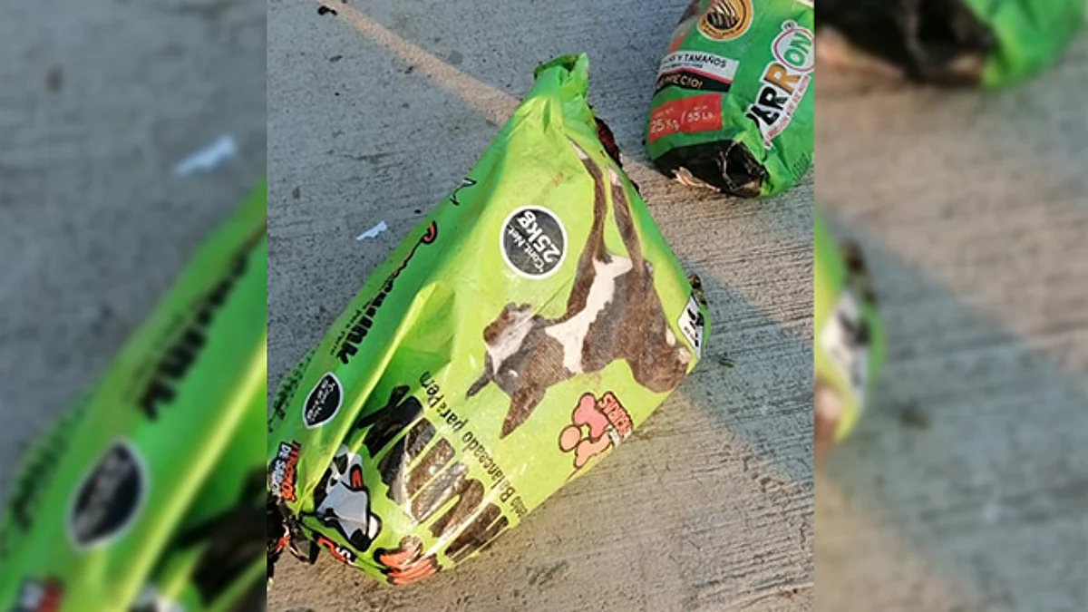 Encuentran cadáveres en Zitácuaro, uno desmembrado y en bolsas de comida para perros