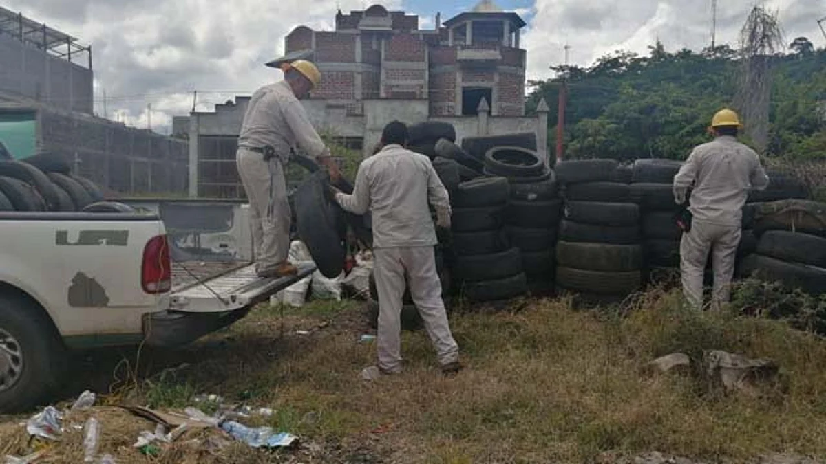 Reactivará SSM acciones contra el dengue en 62 colonias de Morelia