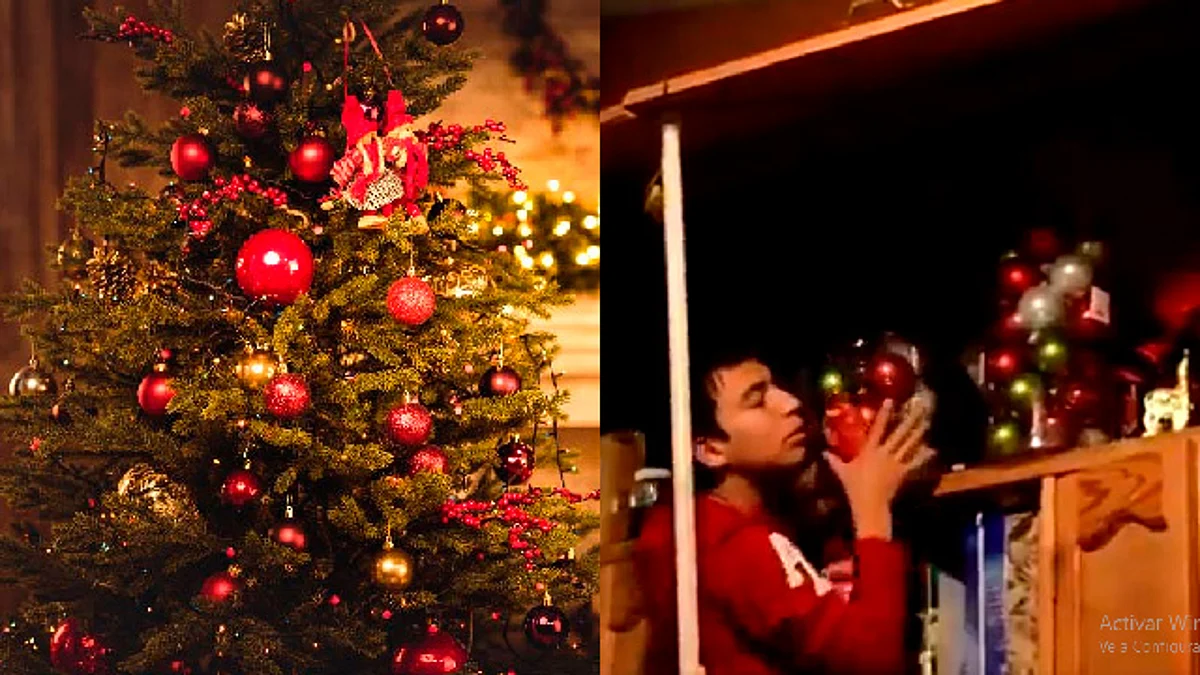 Se acerca la hora de sacar los adornos y poner el Árbol de Navidad