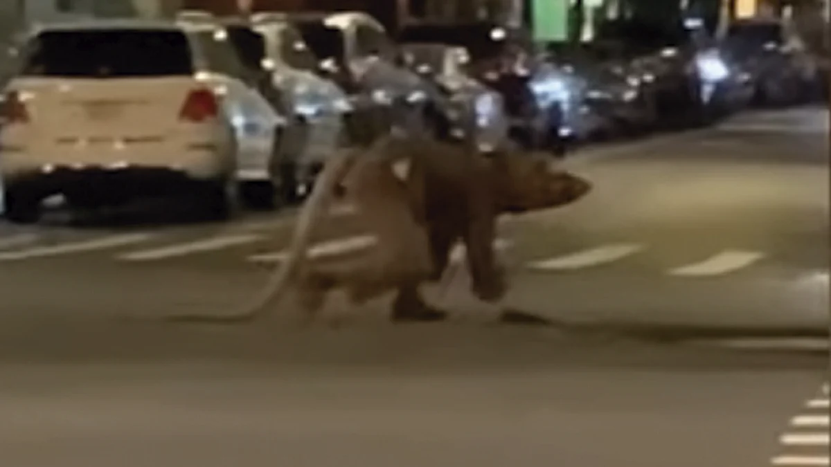 El individuo hace gestos extraños para después cruzar la calle (Foto: fotograma YouTube/ @Videlo)