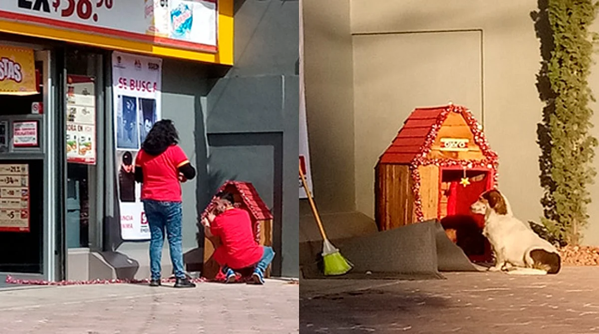 El perro tendrá una segunda oportunidad y un lugar para dormir (Foto FB: Angel A´s Alfaro)