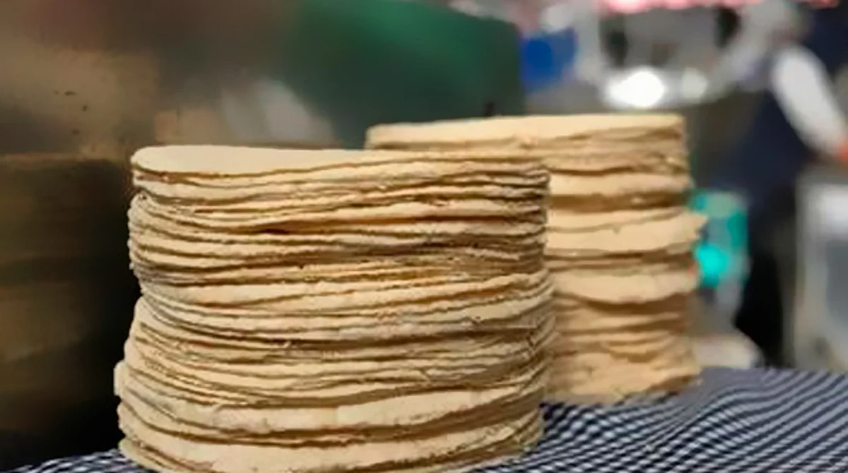 Se reconoce el esfuerzo solidario de quienes forman parte de la cadena productiva maíz-tortilla y decidieron no aumentar precios, dicen autoridades (Foto: Cortesía)