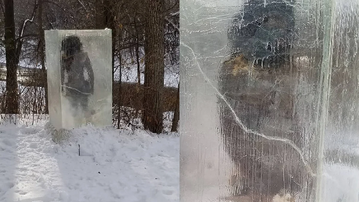 Aparece cavernícola dentro de un cubo de hielo en un bosque de EU