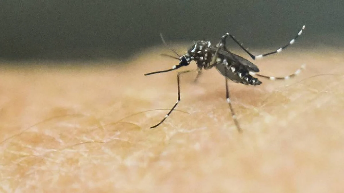 Dengue en Michoacán incrementó 50 por ciento en un año
