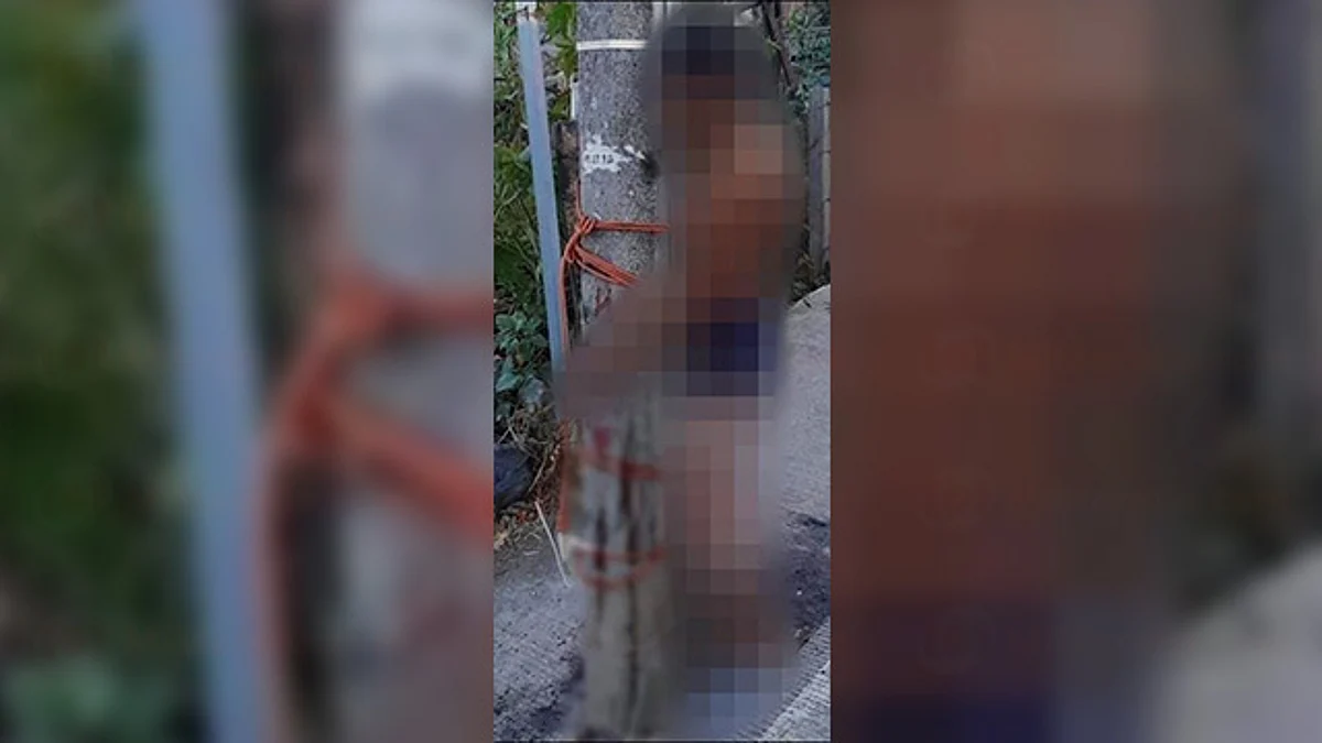Se desconoce quién o quiénes lastimaron al sujeto y lo exhibieron (Foto: RED 113)