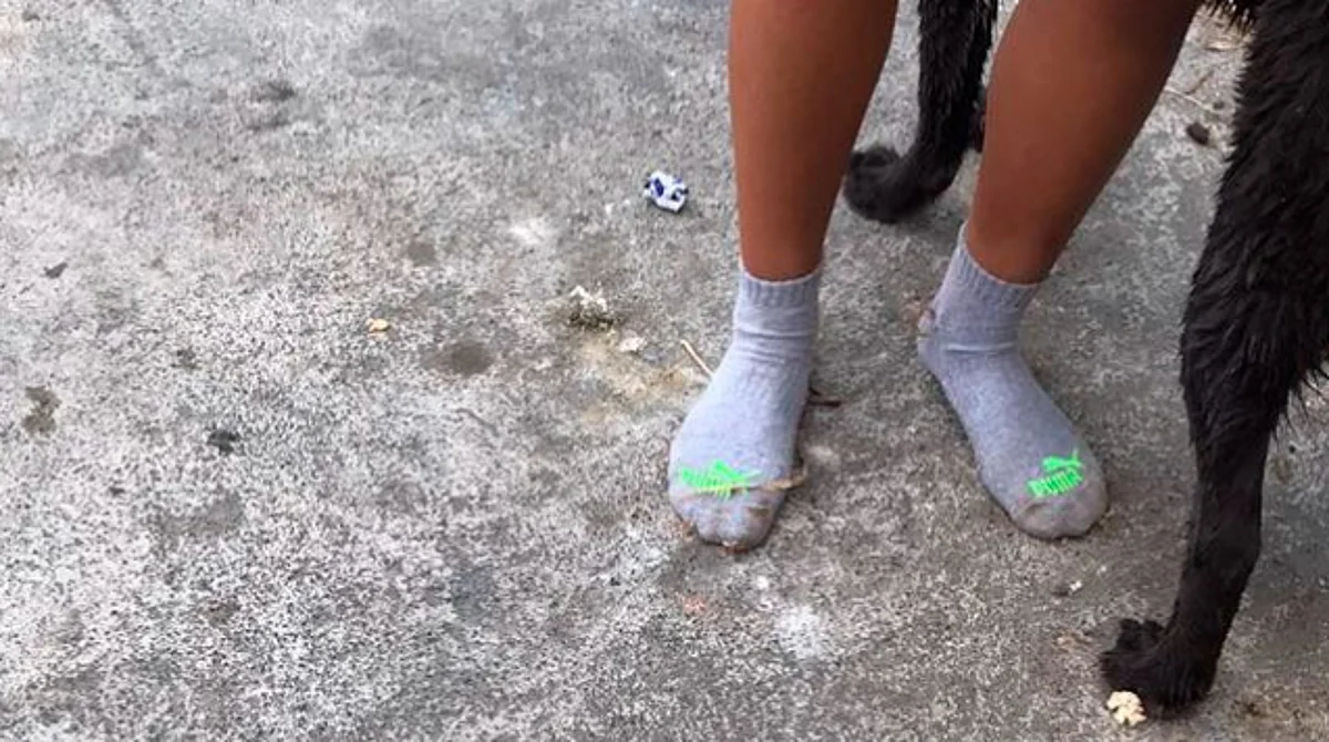 ¡Se roban hasta los tenis! Investiga FGE asalto en Filtros Viejos de Morelia