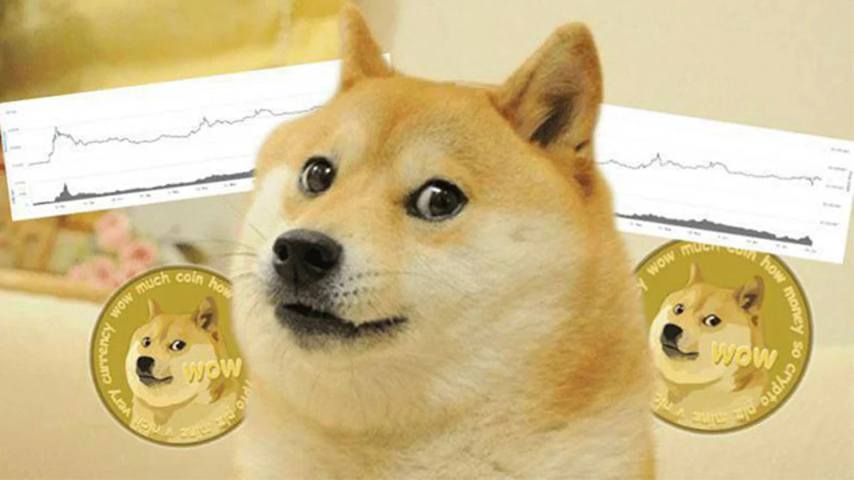 Dogecoin, la criptomoneda surgida de un meme, ya vale más que el peso