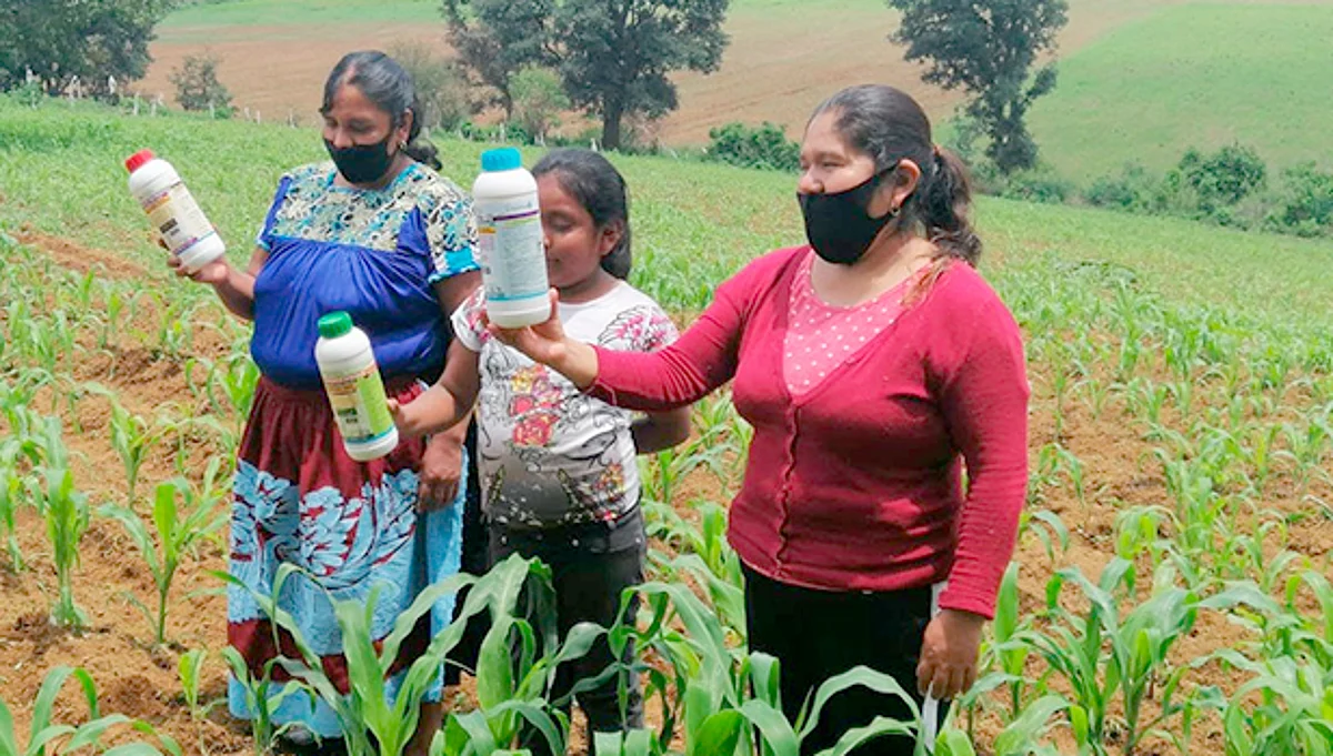 Agricultura Sustentable, el programa más exitoso del agro en Michoacán