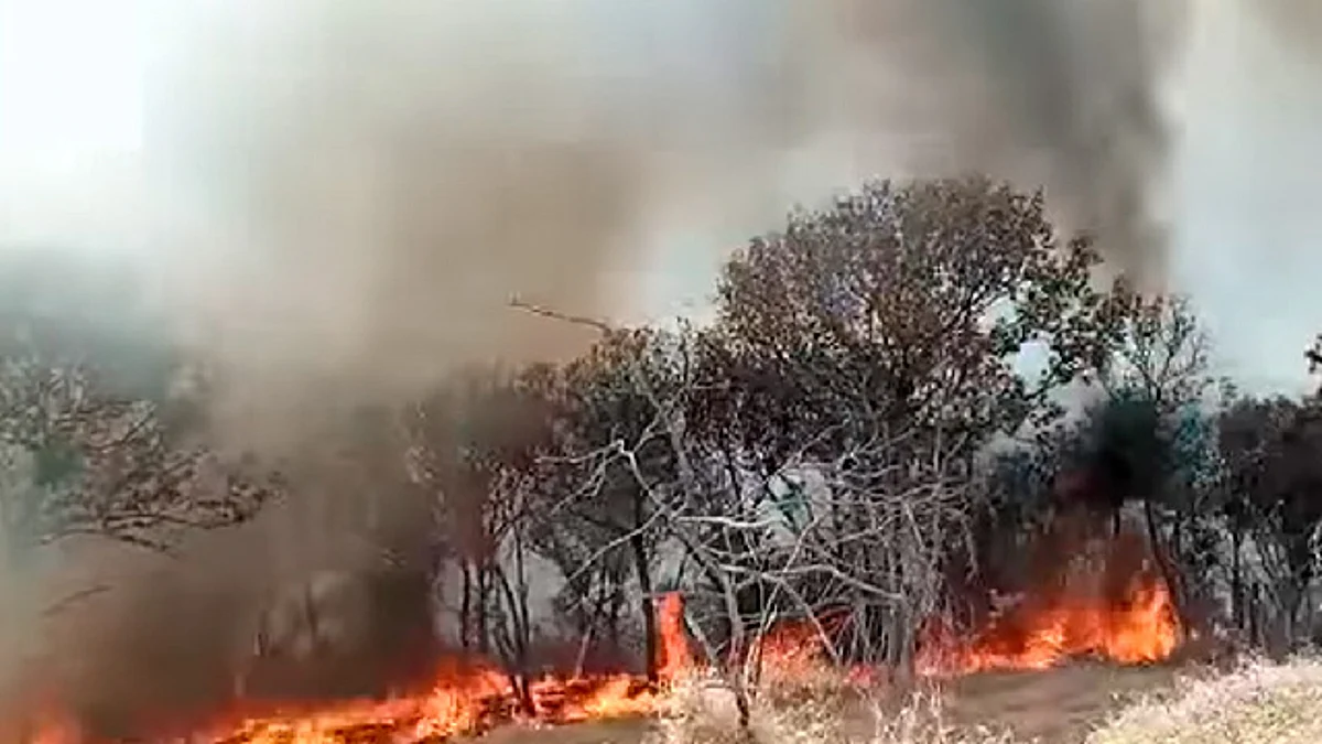 Se incendia bosque en Michoacán; fuego ya fue controlado