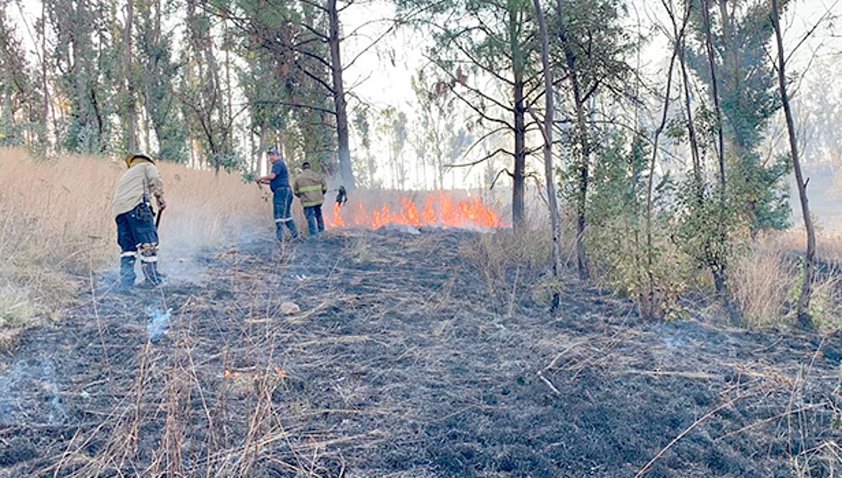 Protección Civil, en alerta ante inicio de temporada de incendios forestales