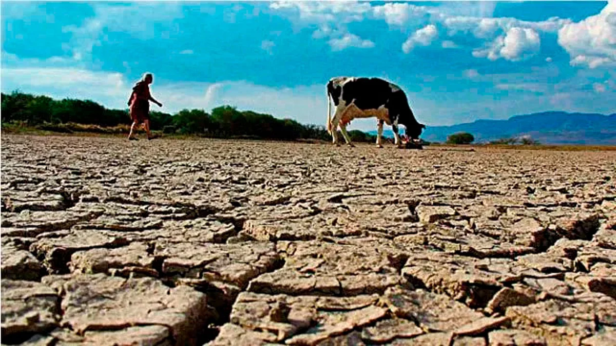 20 municipios los más afectados por la sequía en Michoacán: Conagua