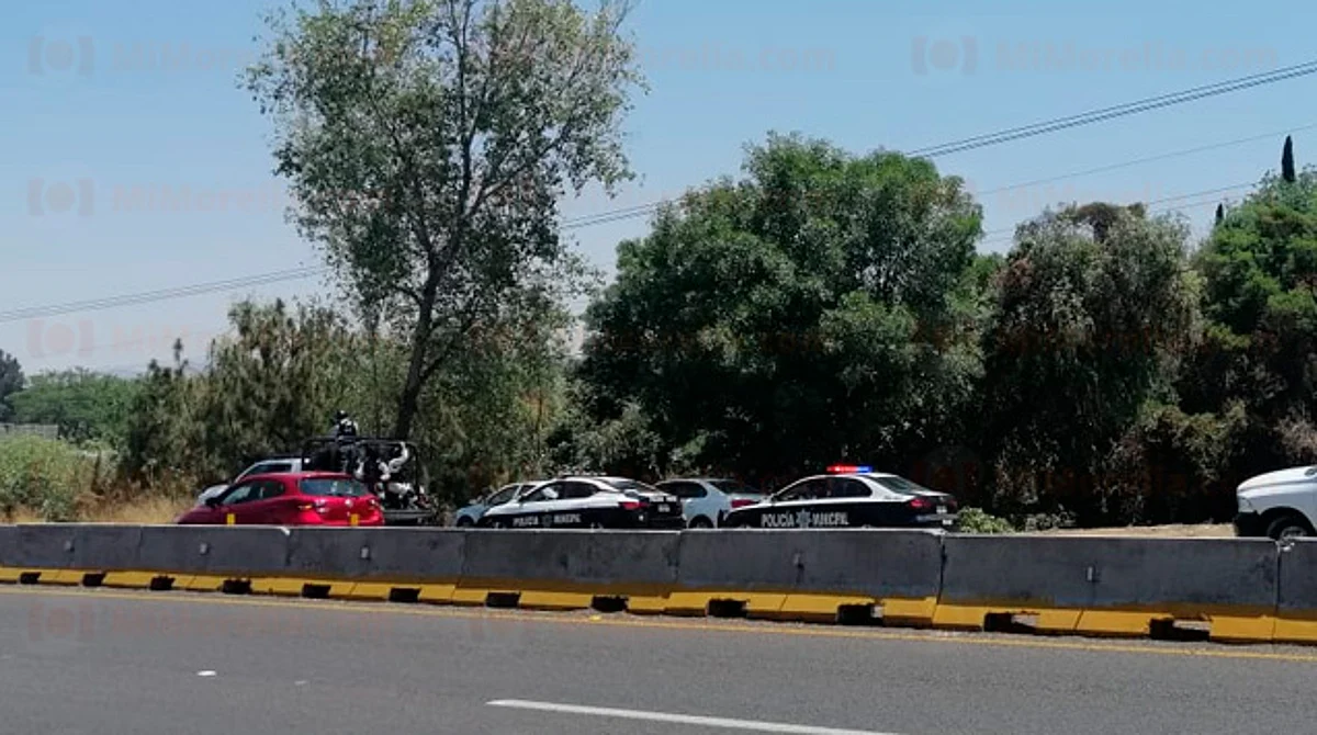 El hallazgo lo hicieron unos habitantes de la zona (Foto: RED 113)
