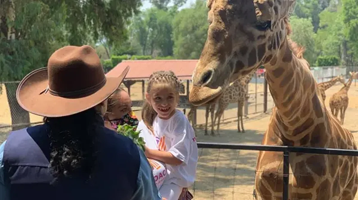 Con más de 400 mil visitas cerrará el año el Zoológico de Morelia