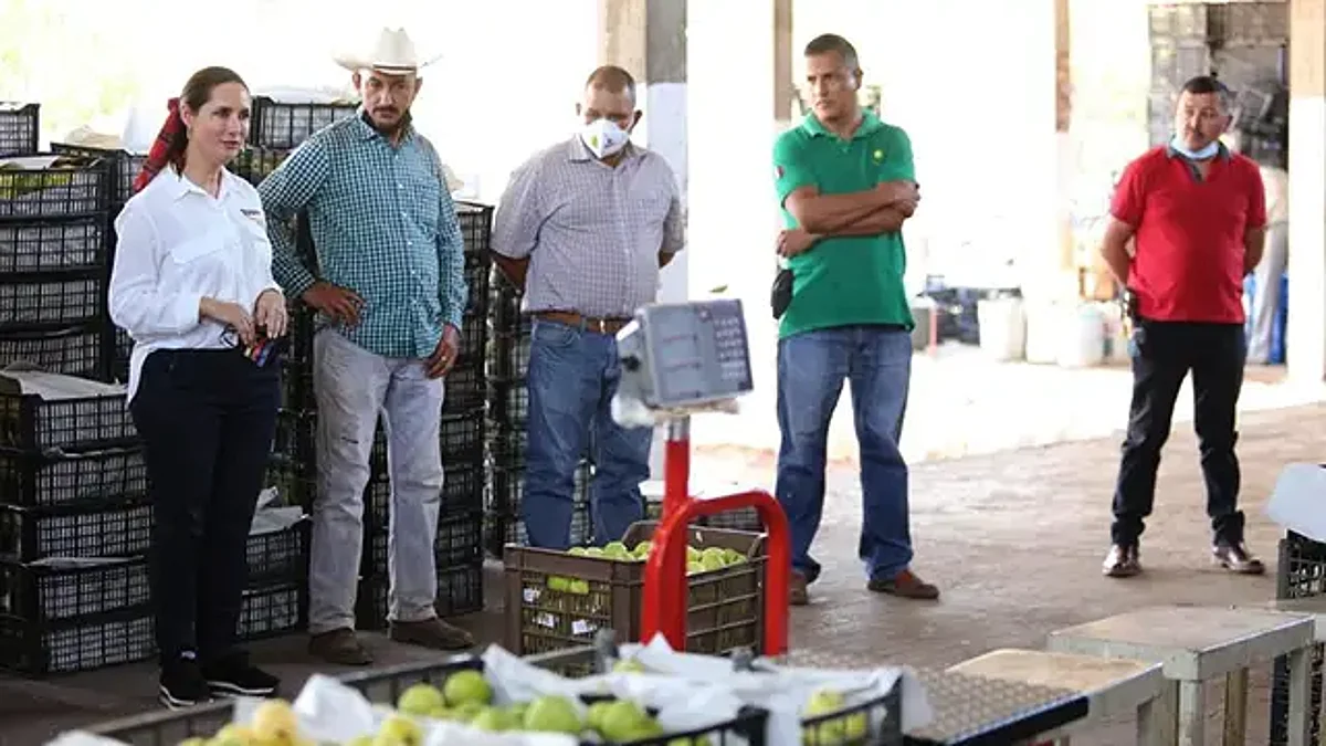 Reorientaré el presupuesto para fortalecer el campo: Macarena Chávez