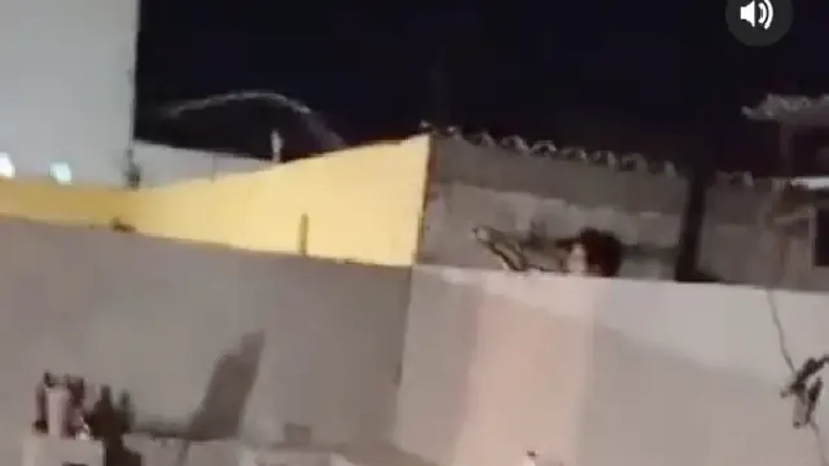 Molesta por el ruido, mujer les arruina la carne asada a sus vecinos