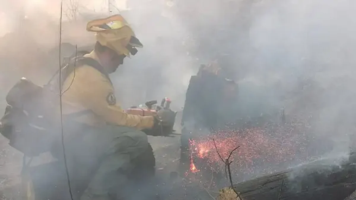 Combaten incendio en Los Reyes brigadistas, voluntarios y equipo aéreo