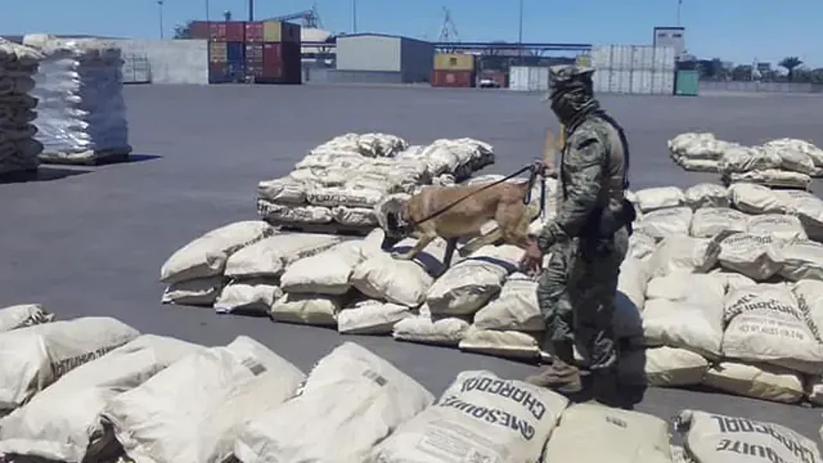 Marina asegura droga en puertos de Michoacán y Sonora