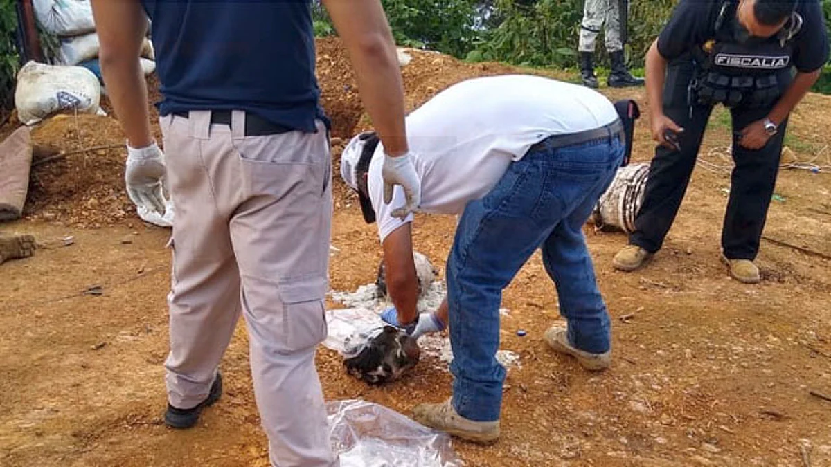 Identifican a 3 de los 8 cadáveres localizados en Cotija; uno era un menor de edad